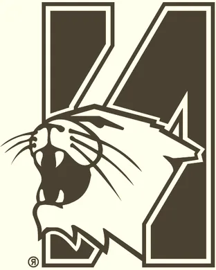 Northwestern Wildcats